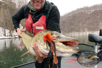 New River Musky on the Fly